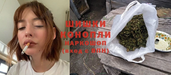 сатива Заволжск