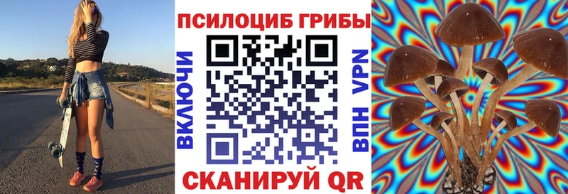 Купить  Лесосибирск  Галлюциногенные грибы Psilocybine cubensis 